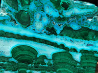 Polished Malacolla Slices x 6 From Kulukuluku, Congo