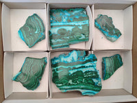 Polished Malacolla Slices x 6 From Kulukuluku, Congo