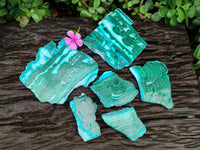 Polished Malacolla Slices x 6 From Kulukuluku, Congo