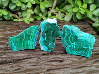 Polished Malacolla Slices x 6 From Kulukuluku, Congo