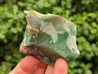 Natural Swazi Jade Cobbed Specimens x 12 From Swaziland