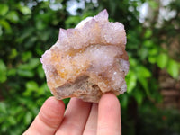 Natural Amethyst and Ametrine Spirit Clusters x 6 From Boekenhouthoek, South Africa