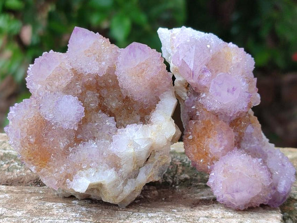 Natural Amethyst and Ametrine Spirit Clusters x 6 From Boekenhouthoek, South Africa