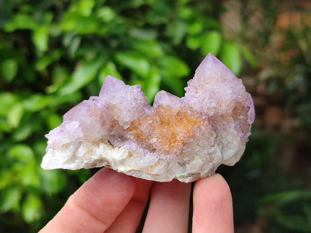 Natural Amethyst and Ametrine Spirit Clusters x 6 From Boekenhouthoek, South Africa