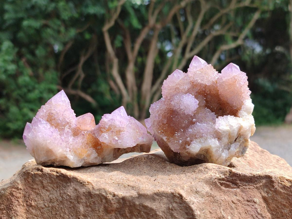Natural Amethyst and Ametrine Spirit Clusters x 6 From Boekenhouthoek, South Africa