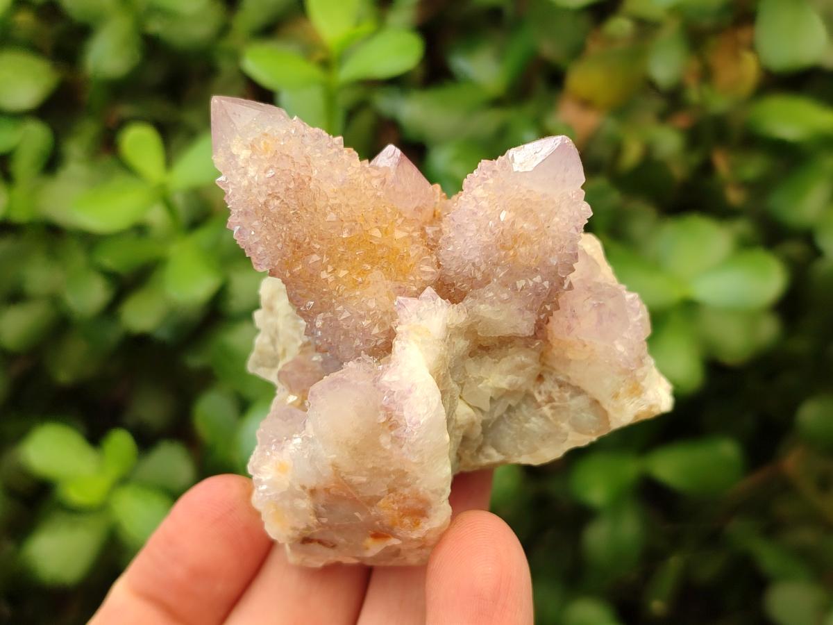 Natural Amethyst and Ametrine Spirit Clusters x 6 From Boekenhouthoek, South Africa
