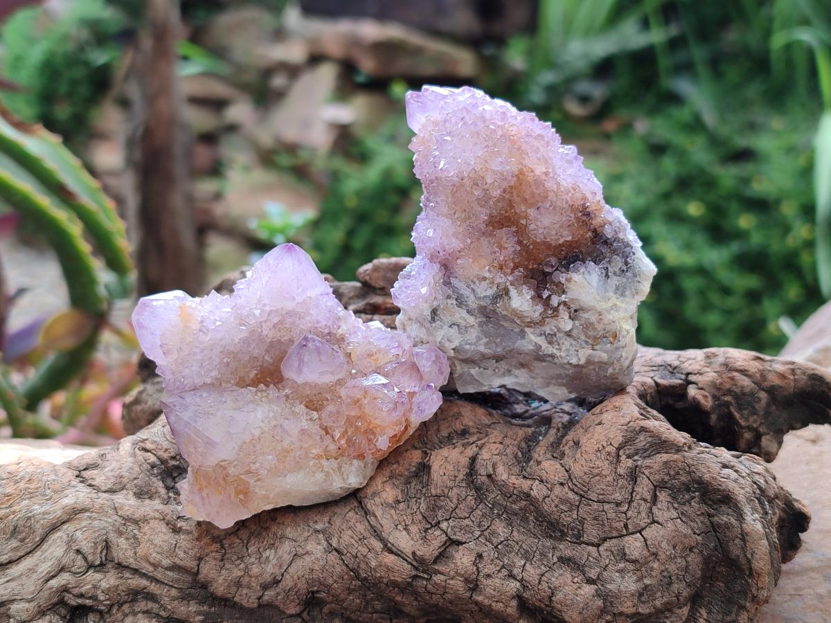 Natural Amethyst and Ametrine Spirit Clusters x 6 From Boekenhouthoek, South Africa