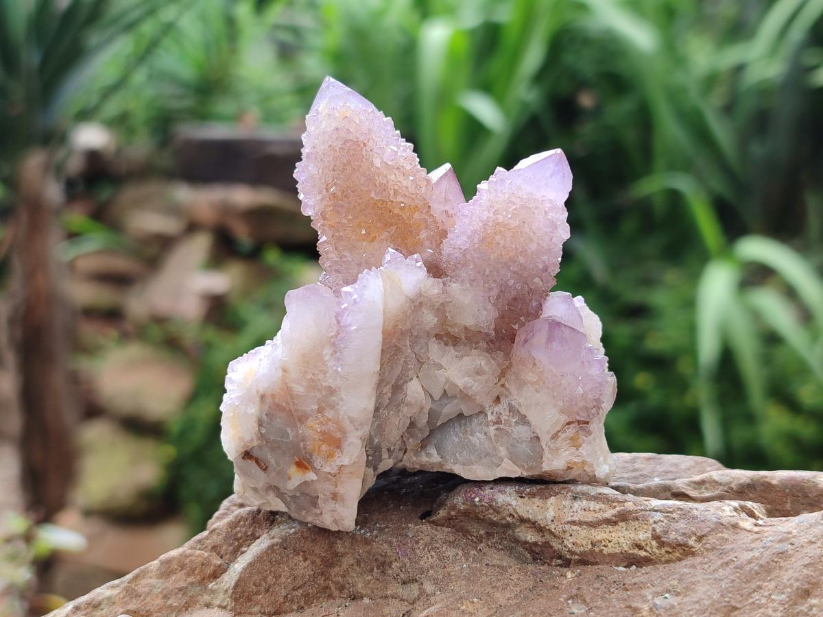 Natural Amethyst and Ametrine Spirit Clusters x 6 From Boekenhouthoek, South Africa