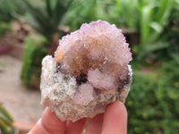 Natural Amethyst and Ametrine Spirit Clusters x 6 From Boekenhouthoek, South Africa