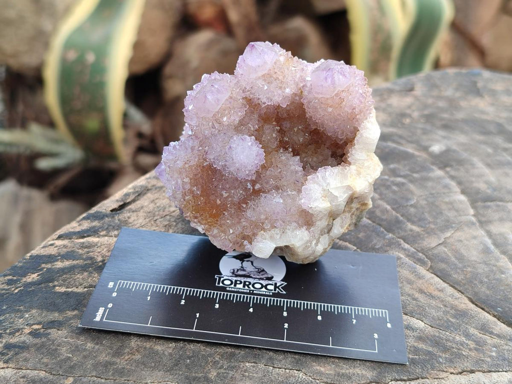 Natural Amethyst and Ametrine Spirit Clusters x 6 From Boekenhouthoek, South Africa