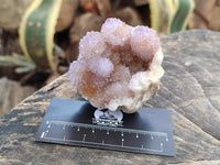 Natural Amethyst and Ametrine Spirit Clusters x 6 From Boekenhouthoek, South Africa