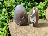 Polished Snow Orca Agate Standing Free Forms x 4 From Madagascar