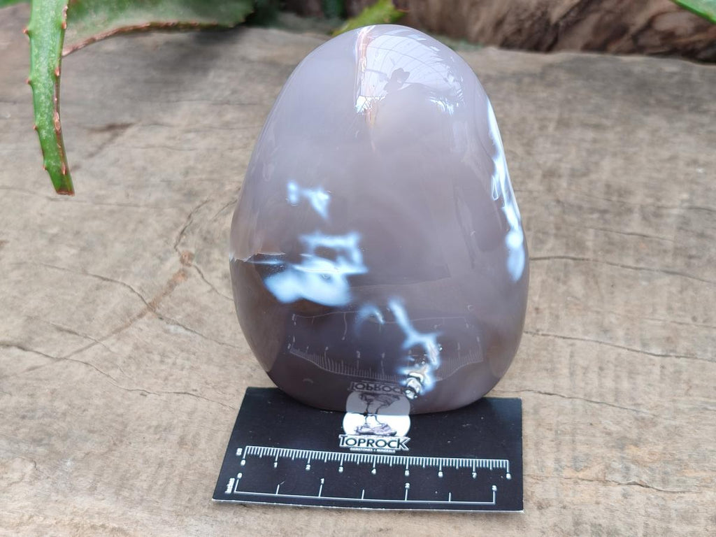 Polished Snow Orca Agate Standing Free Forms x 4 From Madagascar