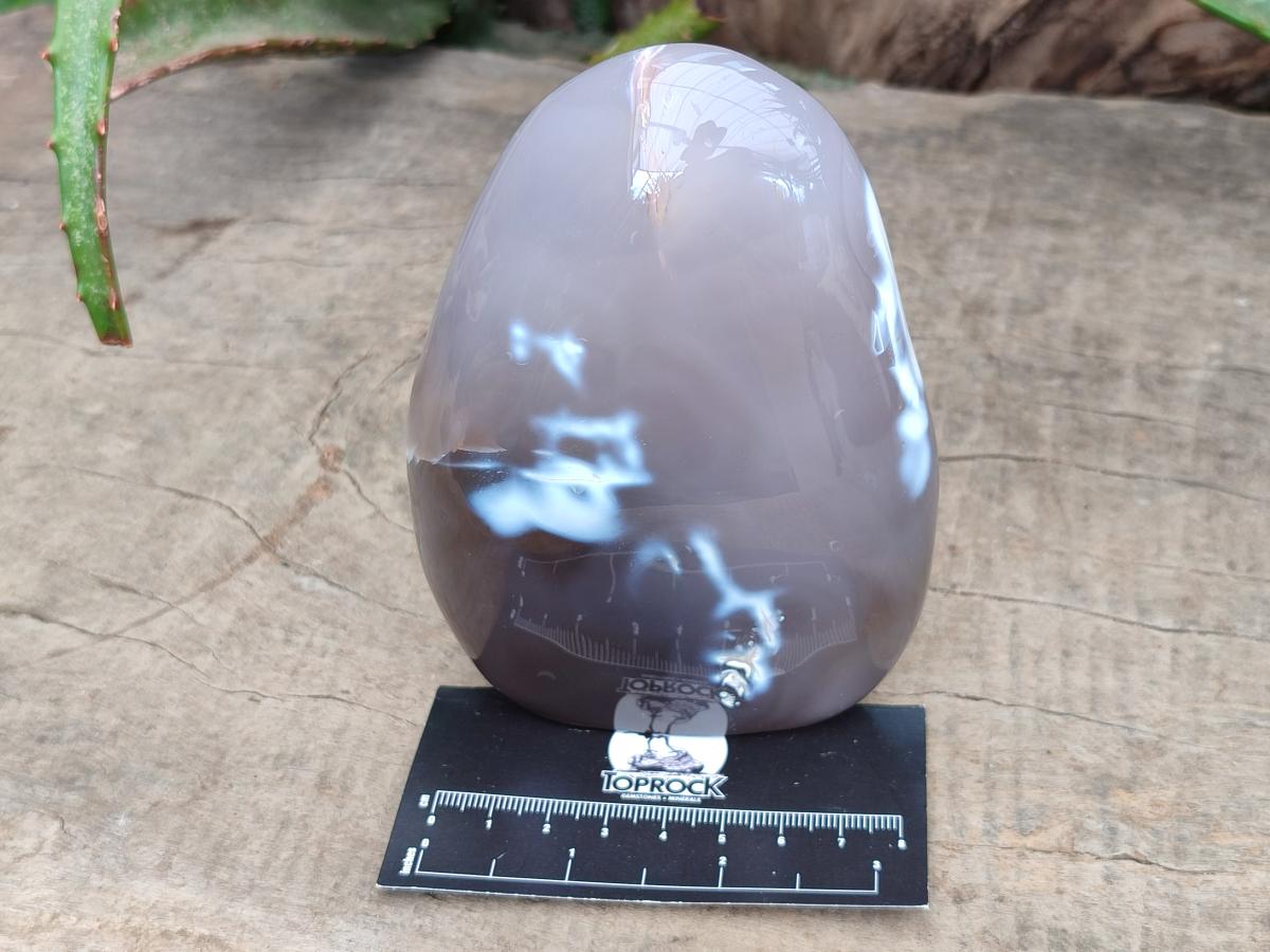 Polished Snow Orca Agate Standing Free Forms x 4 From Madagascar