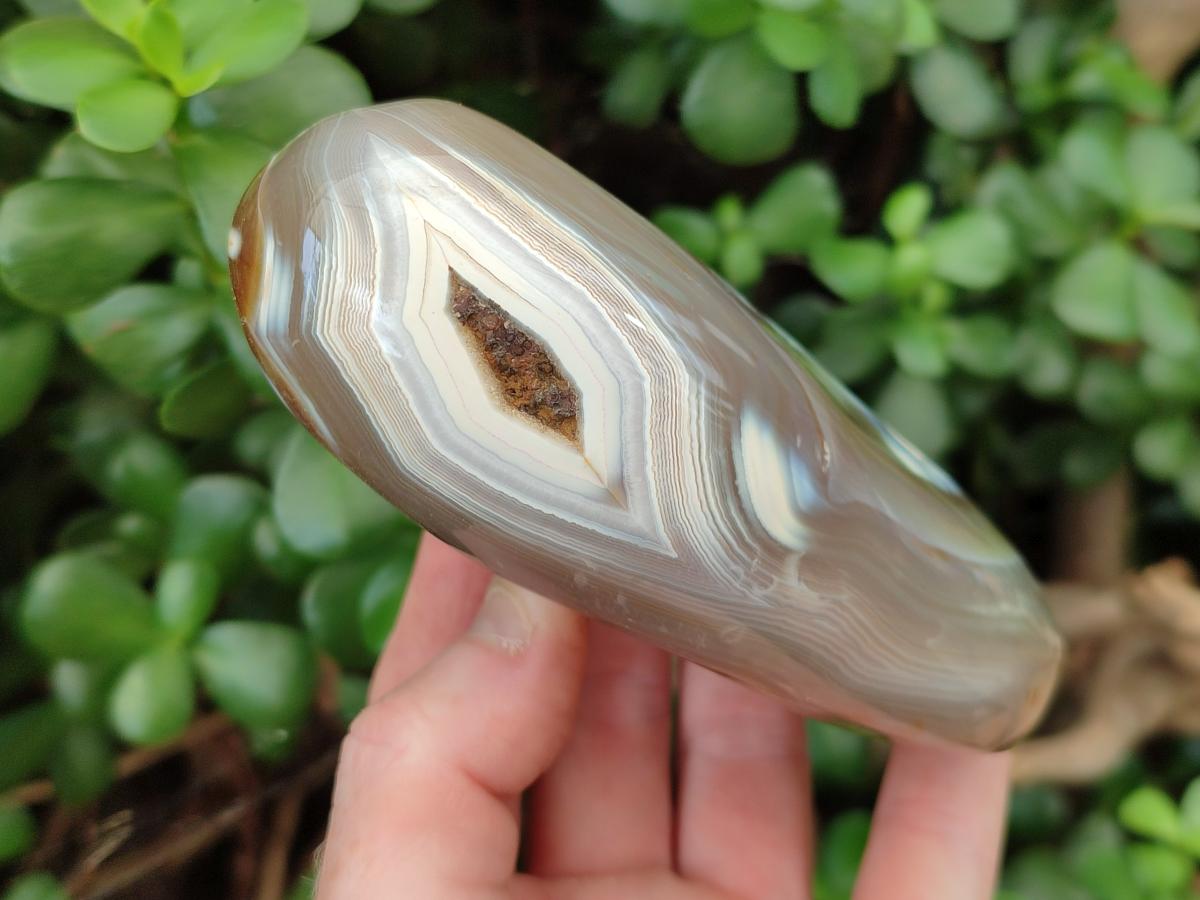 Polished Snow Orca Agate Standing Free Forms x 4 From Madagascar