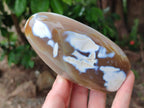 Polished Snow Orca Agate Standing Free Forms x 4 From Madagascar