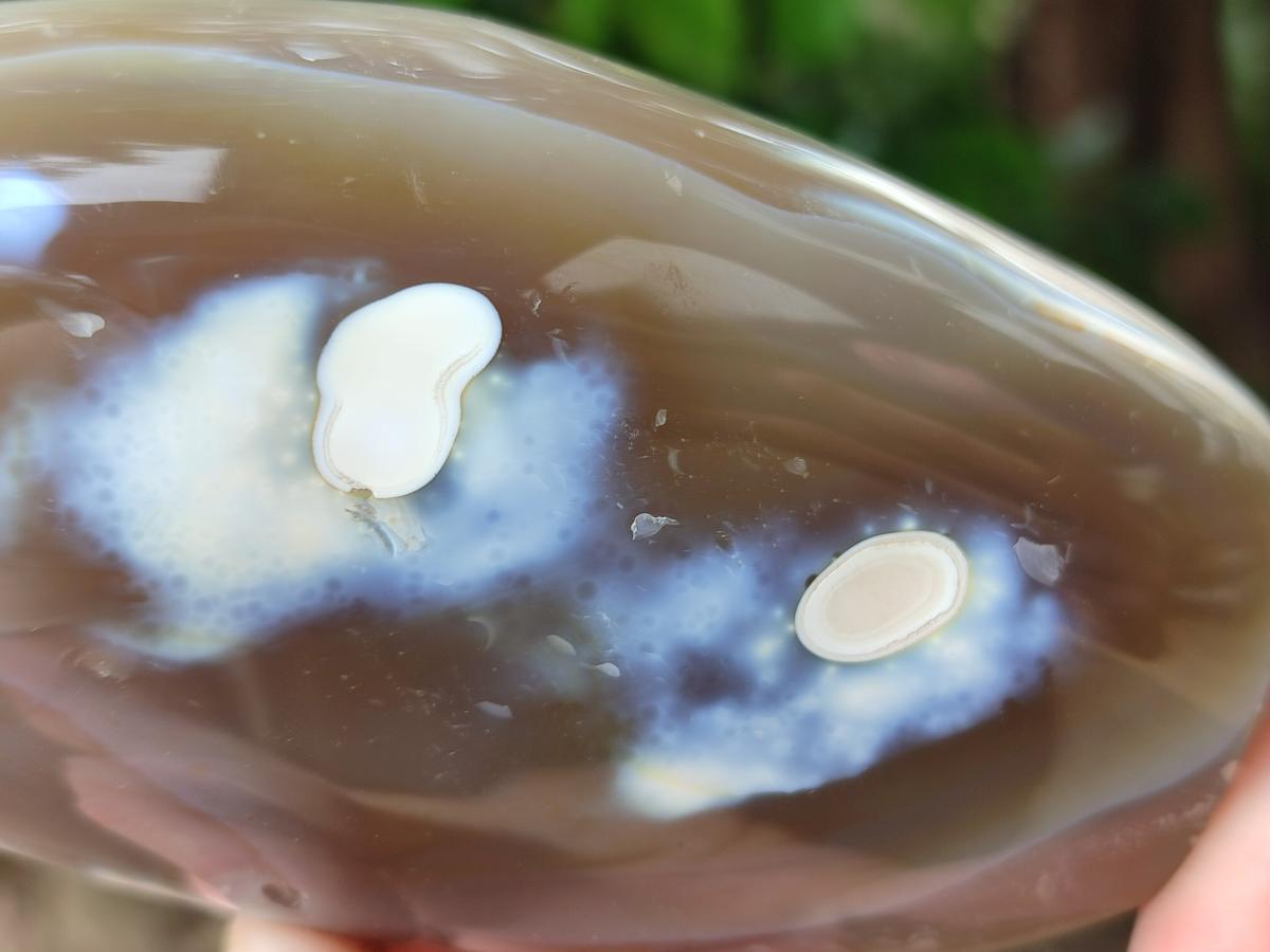 Polished Snow Orca Agate Standing Free Forms x 4 From Madagascar