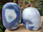 Polished Snow Orca Agate Standing Free Forms x 4 From Madagascar