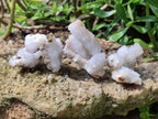 Natural Drusy Snow Finger Crystals x 35 From Albert's Mountain, Lesotho