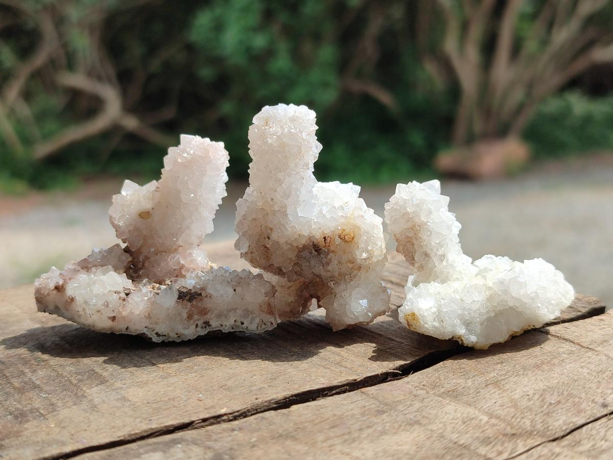 Natural Drusy Snow Finger Crystals x 35 From Albert's Mountain, Lesotho