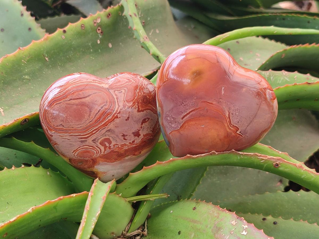 Polished Polychrome Jasper Hearts x 6 From NW Coast, Madagascar
