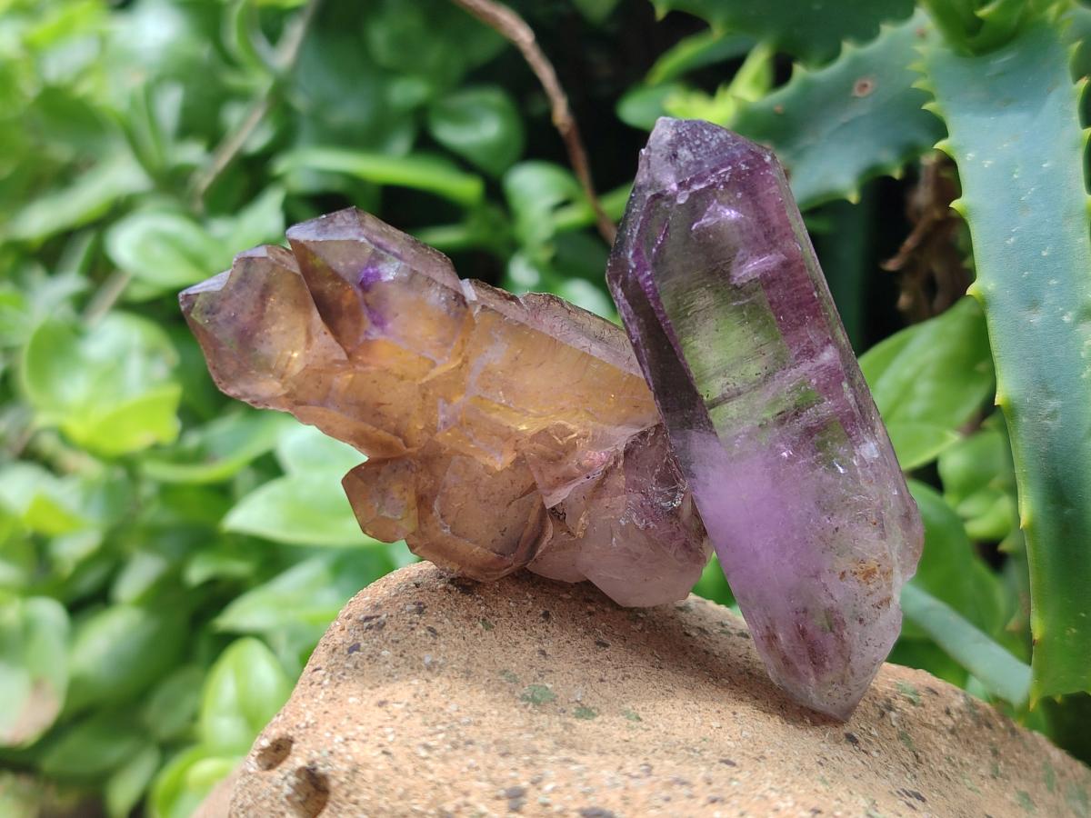 Natural Window Amethyst Crystals x 13 From Chiredzi, Zimbabwe