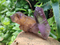 Natural Window Amethyst Crystals x 13 From Chiredzi, Zimbabwe