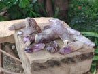 Natural Window Amethyst Crystals x 13 From Chiredzi, Zimbabwe