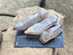 Natural Window Amethyst Crystals x 13 From Chiredzi, Zimbabwe