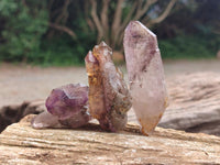 Natural Window Amethyst Crystals x 13 From Chiredzi, Zimbabwe