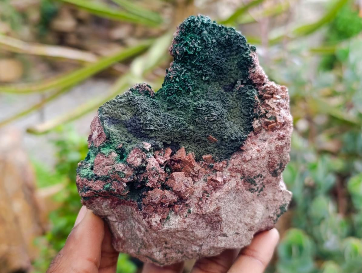 Natural Salrose Cobaltion Dolomite Specimens with Malachite x 2 From Kakanda, Congo