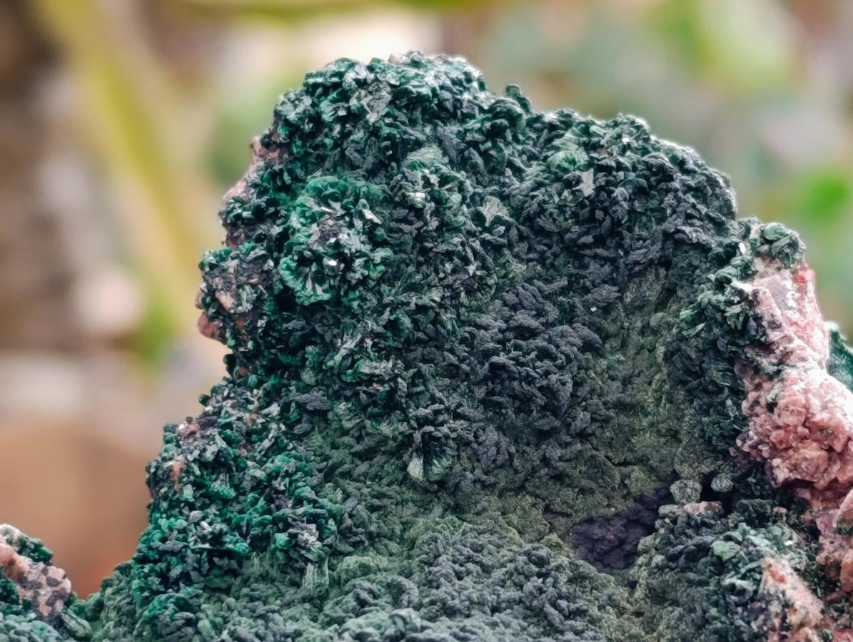 Natural Salrose Cobaltion Dolomite Specimens with Malachite x 2 From Kakanda, Congo