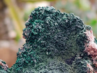 Natural Salrose Cobaltion Dolomite Specimens with Malachite x 2 From Kakanda, Congo