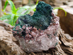 Natural Salrose Cobaltion Dolomite Specimens with Malachite x 2 From Kakanda, Congo