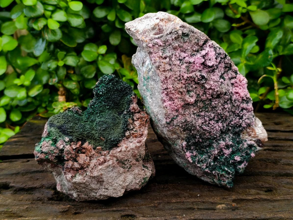 Natural Salrose Cobaltion Dolomite Specimens with Malachite x 2 From Kakanda, Congo