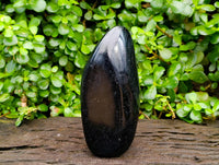 Polished Black Tourmaline Standing Free Form x 1 From Madagascar