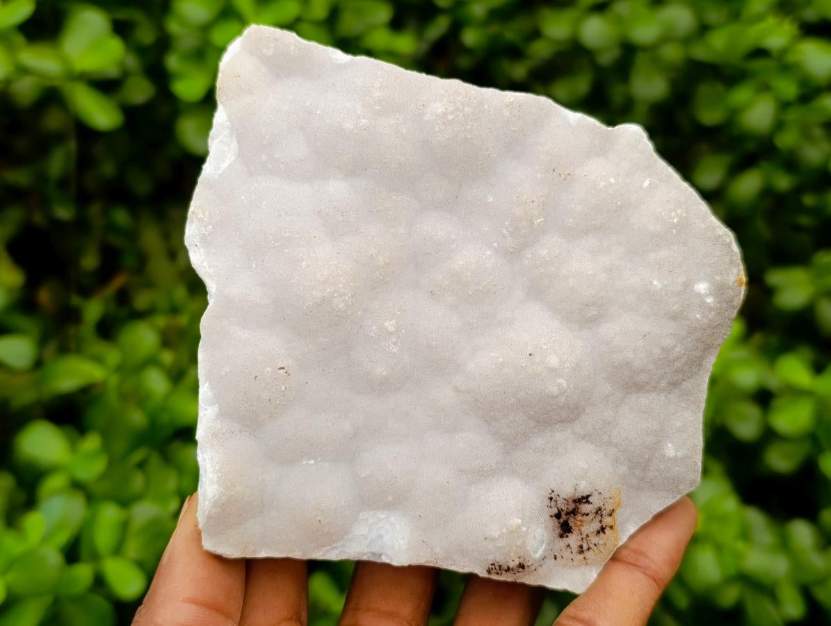 Natural Blue Lace Agate Crystalline Plate Specimens x 2 From Namibia
