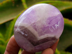 Polished Chevron Amethyst Palm Stones x 12 From Madagascar