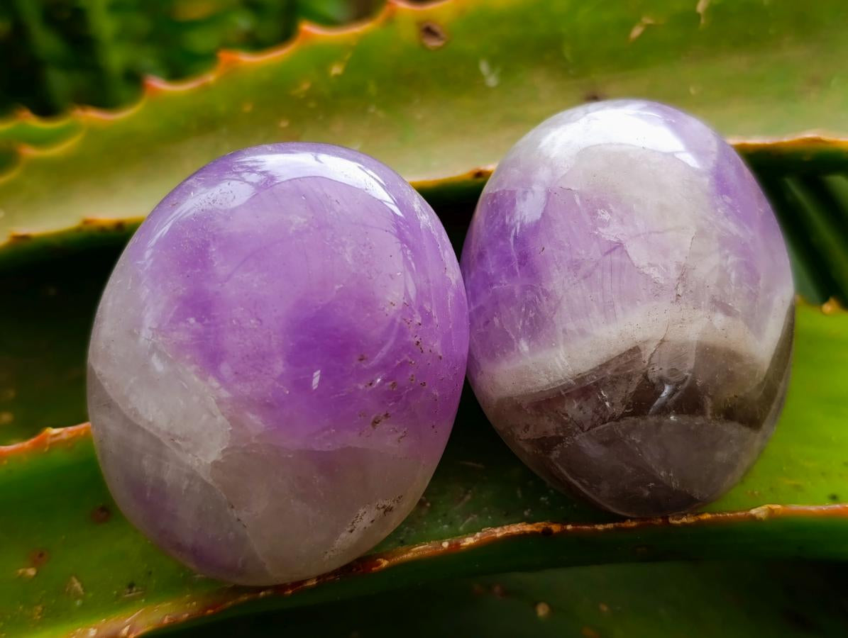 Polished Chevron Amethyst Palm Stones x 12 From Madagascar