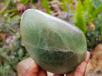 Polished Green Fluorite Standing Free Forms x 2 From Madagascar