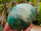 Polished Green Fluorite Standing Free Forms x 2 From Madagascar
