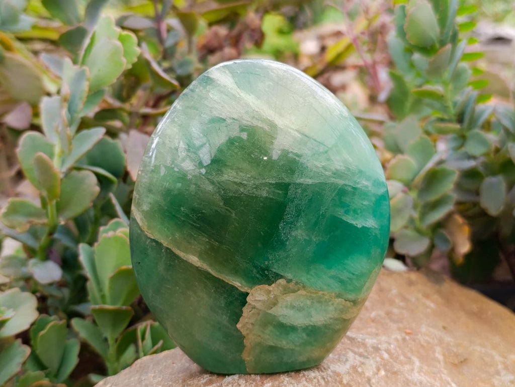 Polished Green Fluorite Standing Free Forms x 2 From Madagascar