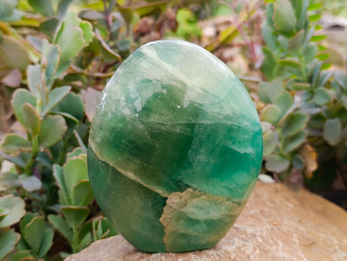Polished Green Fluorite Standing Free Forms x 2 From Madagascar