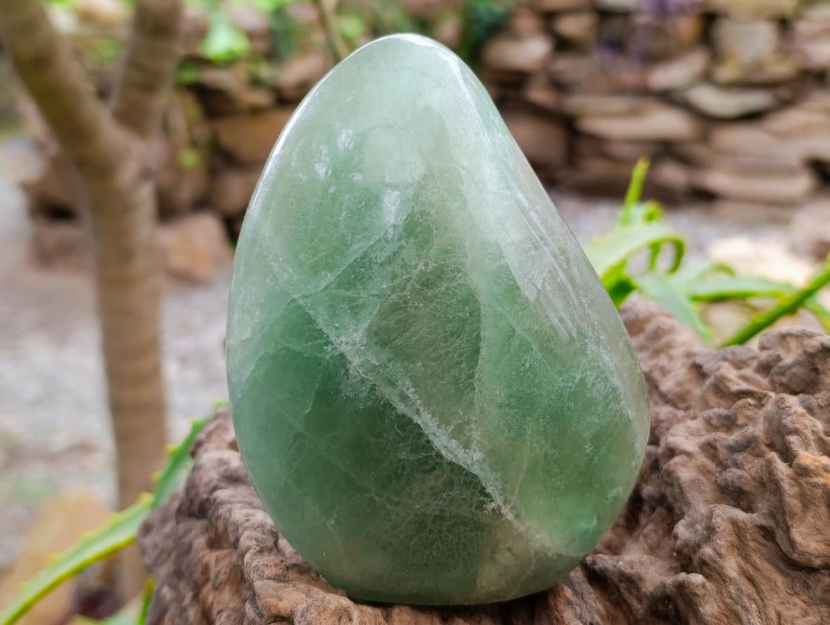 Polished Green Fluorite Standing Free Forms x 2 From Madagascar