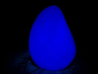 Polished Green Fluorite Standing Free Forms x 2 From Madagascar