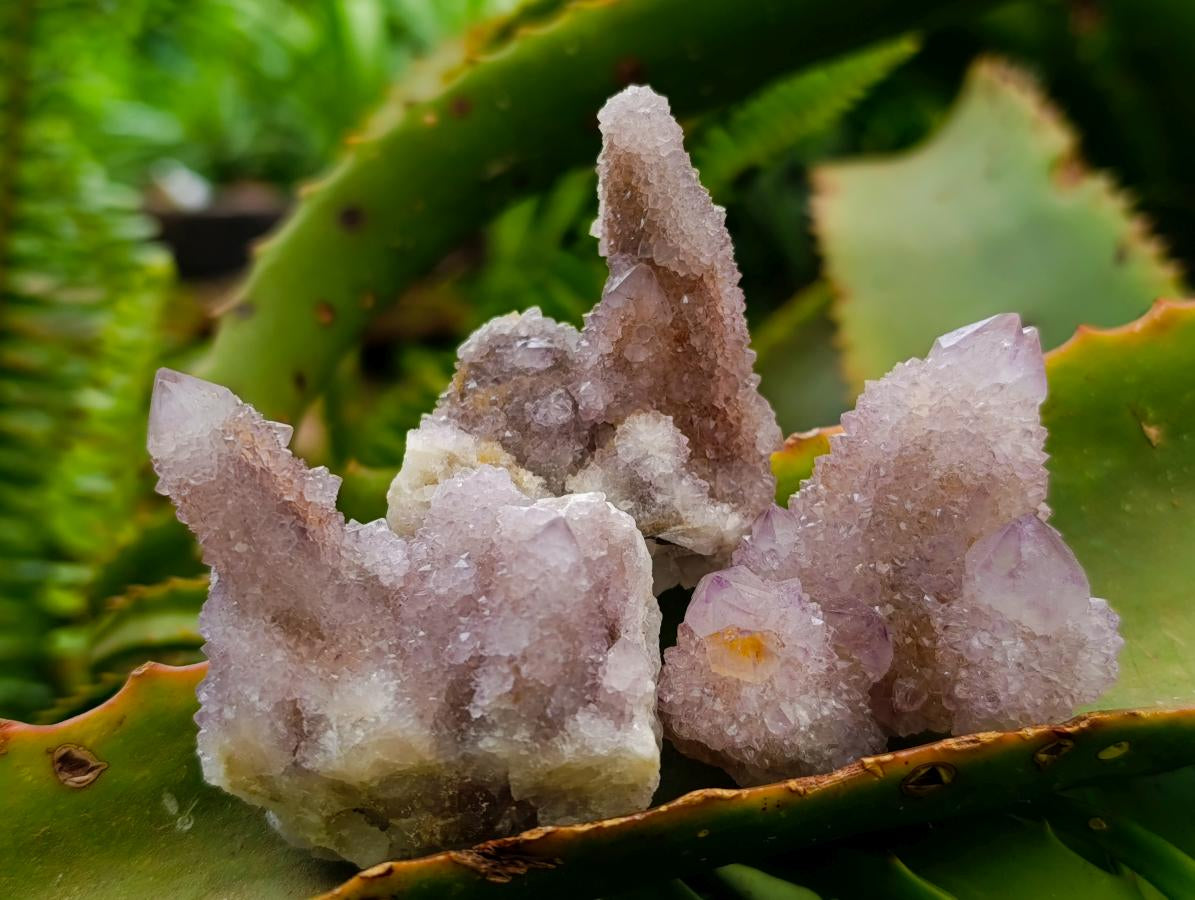 Natural Lilac Amethyst Spirit Crystals and Clusters x 20 From Boekenhouthoek, South Africa