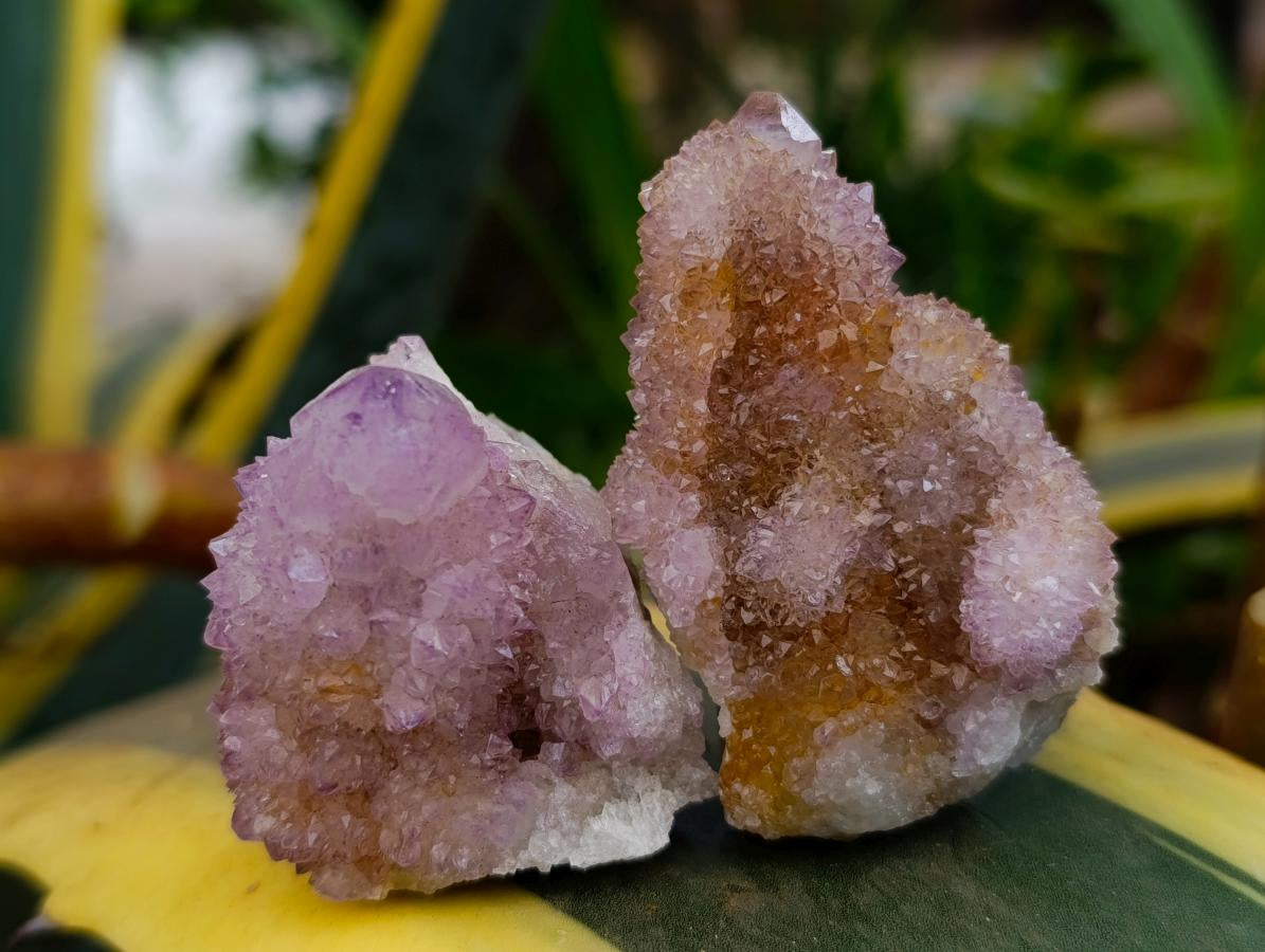 Natural Lilac Amethyst Spirit Crystals and Clusters x 20 From Boekenhouthoek, South Africa
