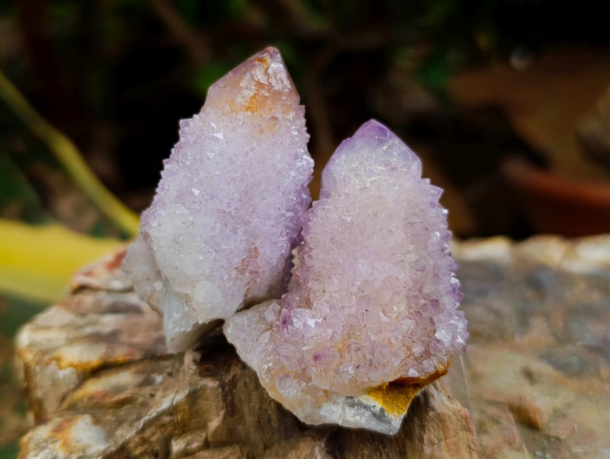 Natural Lilac Amethyst Spirit Crystals and Clusters x 20 From Boekenhouthoek, South Africa