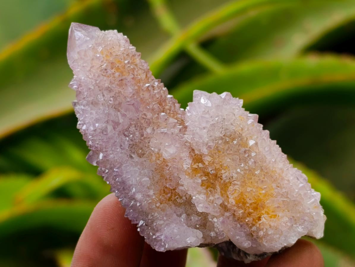 Natural Lilac Amethyst Spirit Crystals and Clusters x 20 From Boekenhouthoek, South Africa