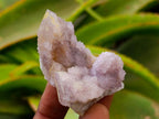 Natural Lilac Amethyst Spirit Crystals and Clusters x 20 From Boekenhouthoek, South Africa